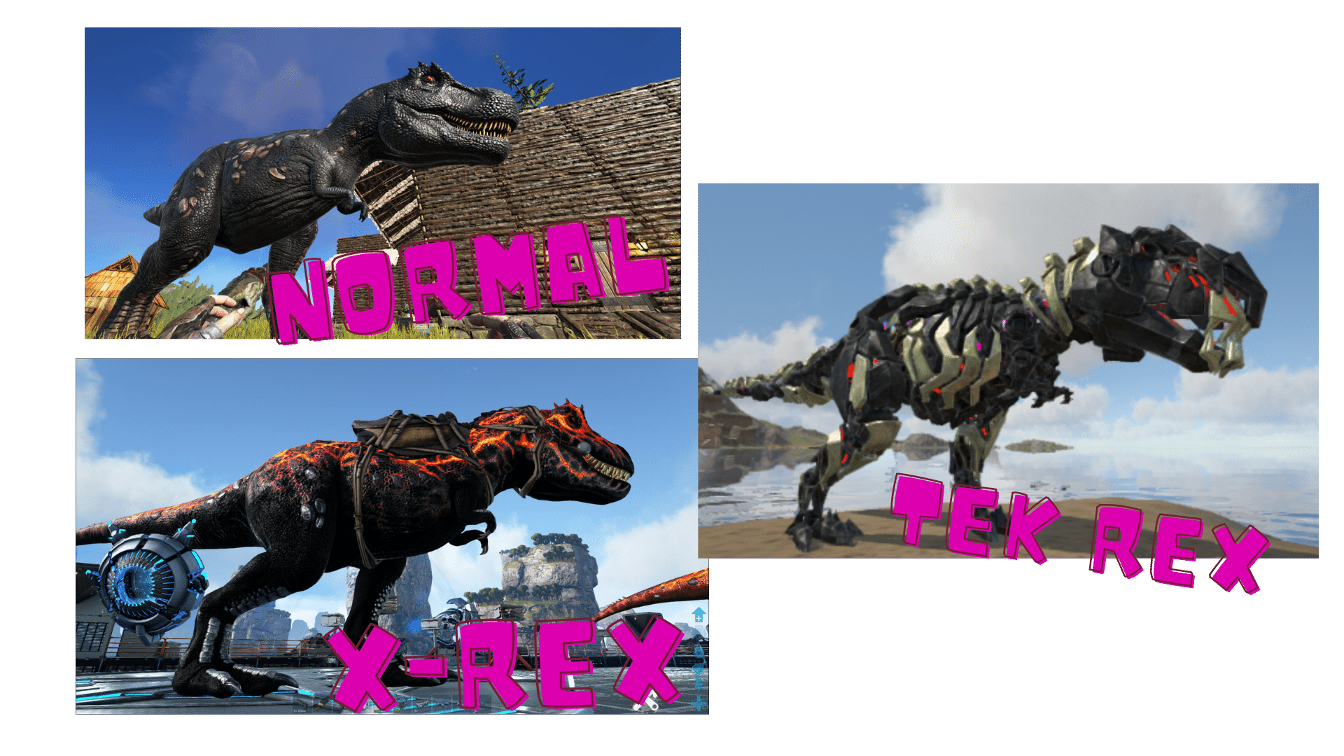 Rex Versions