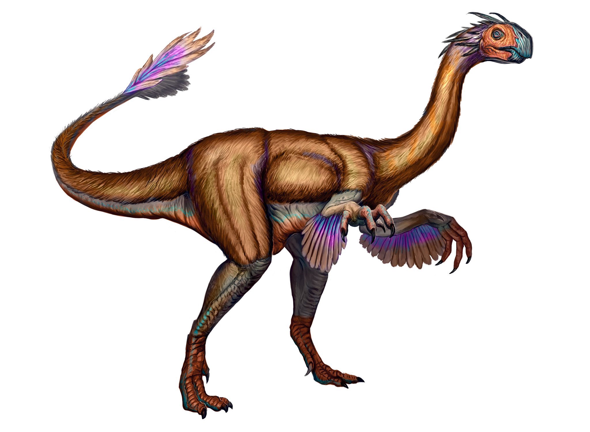 Gigantoraptor