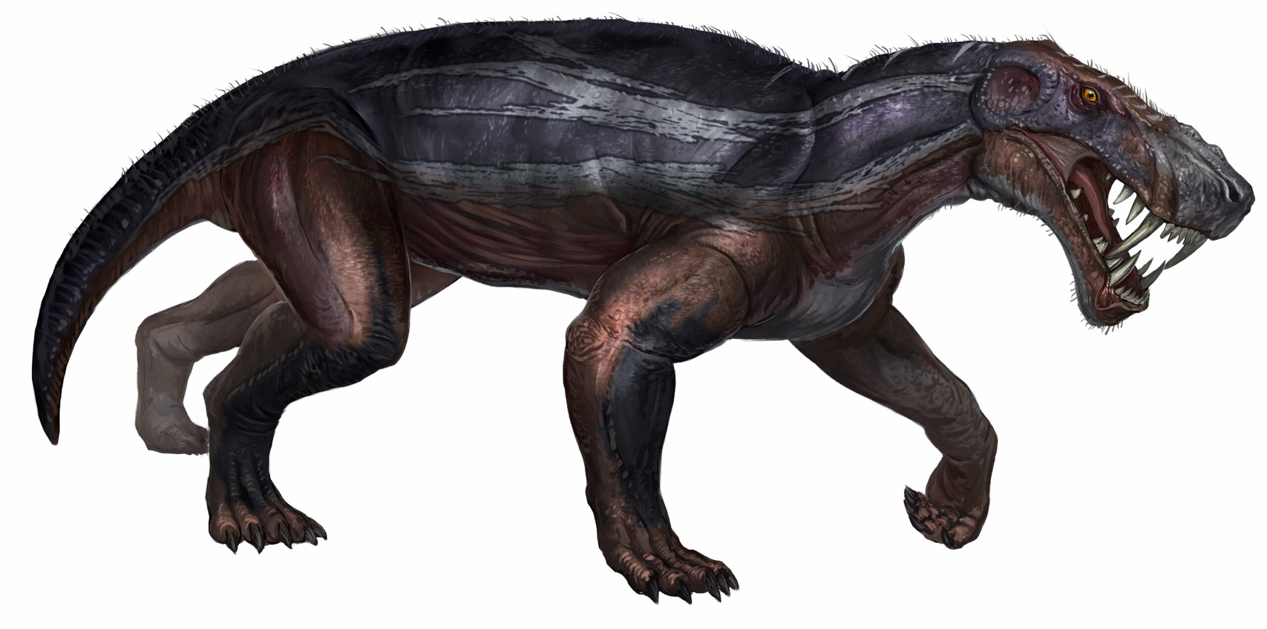 Gorgonops