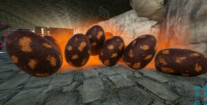 Carchar eggs